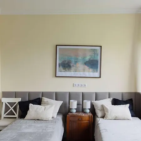 Apartment Big Premium With Rhine View, Totally New *