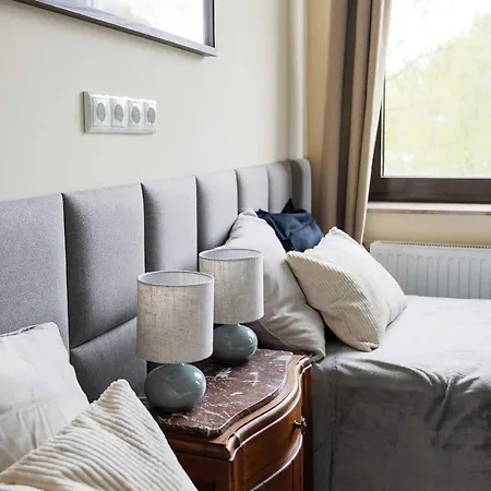 Big Premium With Rhine View, Totally New شقة دوسبرغ