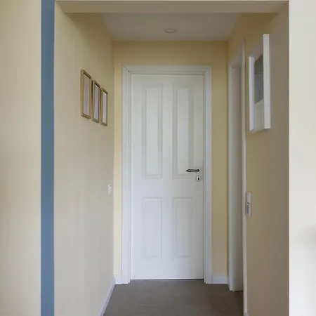 Apartment Big Premium With Rhine View, Totally New *
