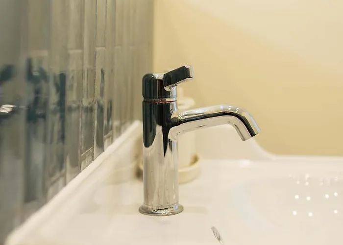 Big Premium With Rhine View, Totally New Apartment *