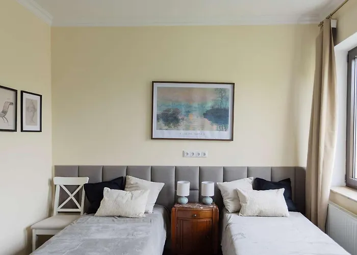 Apartment Big Premium With Rhine View, Totally New *